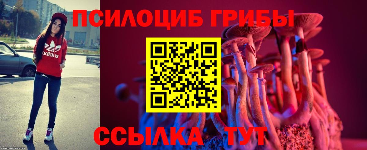 Псилоцибиновые грибы Cubensis Усть-Илимск